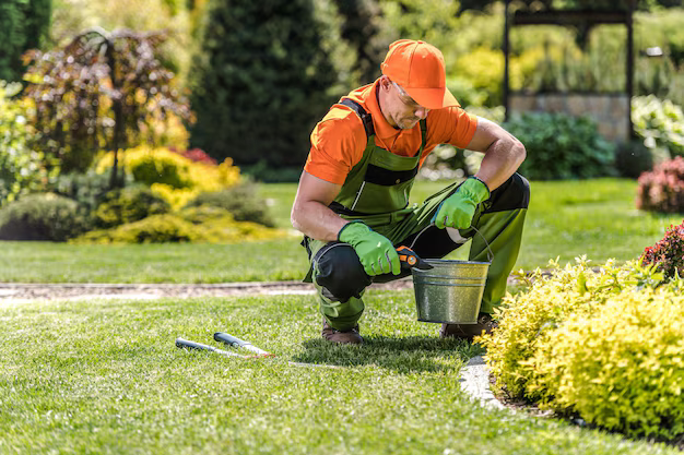 Expandable Garden Hose Pro